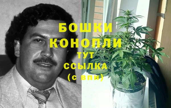трава Горно-Алтайск